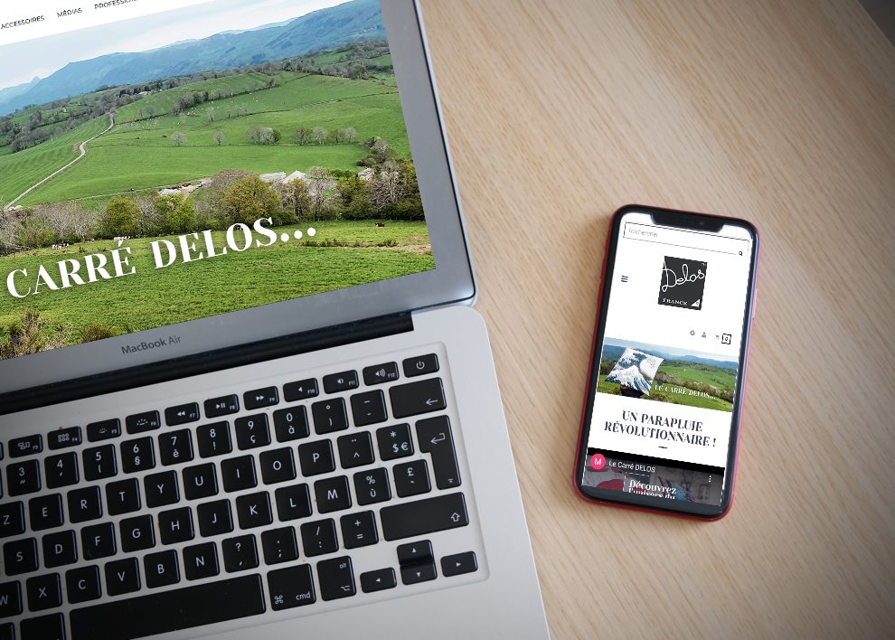 Mockups d'un smarphone et d'un ordinateur avec le site du Carré Delos
