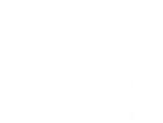 net15v2-fr.net15.eu